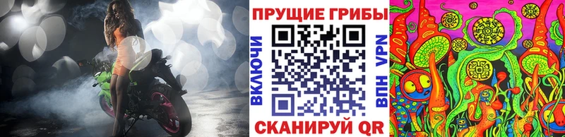 Галлюциногенные грибы Psilocybine cubensis  Купить  Подпорожье 